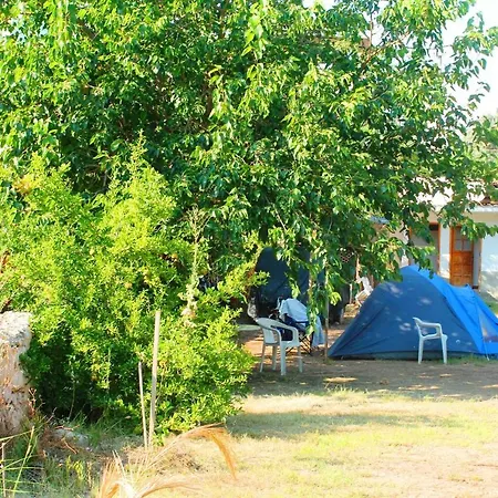 Campsite Medusa