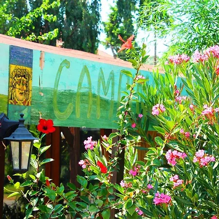 Campsite Medusa *